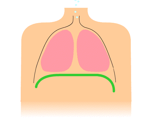 Eye-level view of a singer practicing diaphragmatic breathing with a focused expression