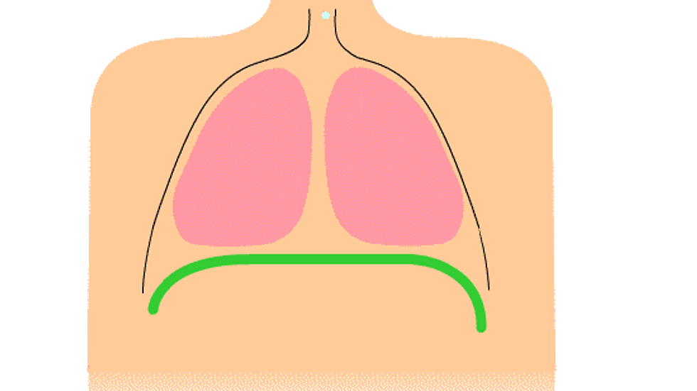 Eye-level view of a singer practicing diaphragmatic breathing with a focused expression