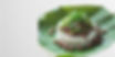 vecteezy_risotto-in-a-pan-with-a-spoon_66074802.jpg