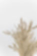 Autumn-Fall-Home-SG-1023-Pixistock-11-scaled.jpg