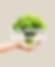 solidaireresponsable.png