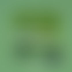 [종치기게임_제작] 로지텍