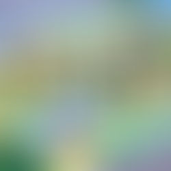 추억의 모빌만들기...우드락으로 모형만들기!