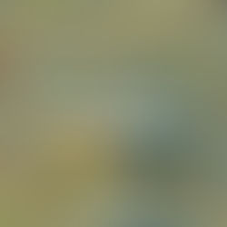 [카드게임_디자인] 서울시정신건강복지센터