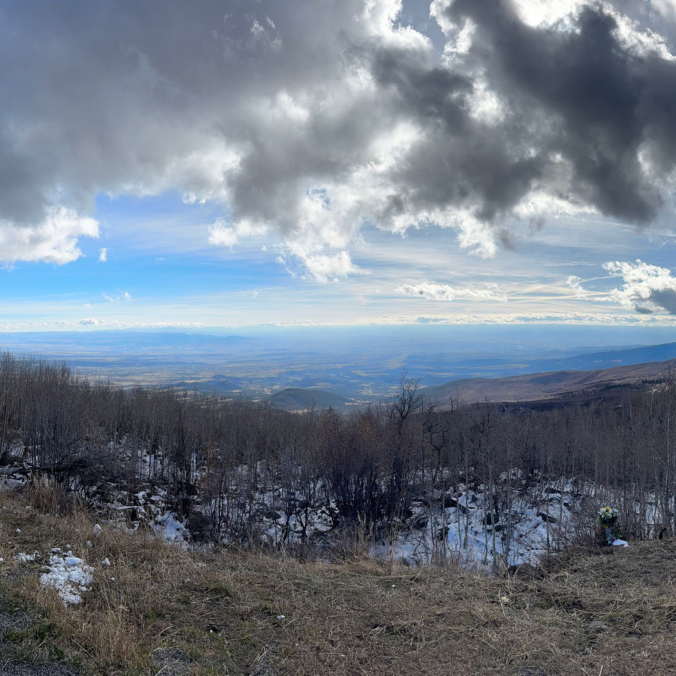 How Did This Happen?