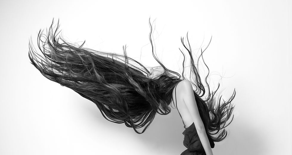 The logo for Elite Extensions