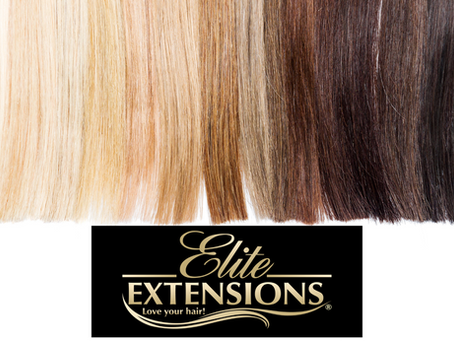 The Elite Extensions Logo with hair color samples above it.