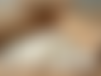 Eco-Friendly Shipping Waste Removal Solutions for Businesses