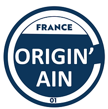 logo originain.PNG