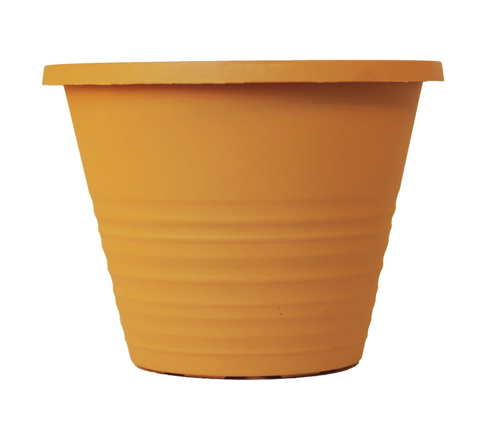 8.5" Josie 1-Gal
