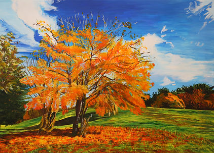 "Paysage d'automne" est une peinture acrylique de Gilberte Dorard. Un arbre majestueux se dresse devant nous tandis que son manteau a d'ores et déjà pris les couleurs des flammes. Suivant les règles de Mère Nature, il se présente à nous ainsi, vunérable. Ses feuilles mortes jonchent une pelouse encore bien verte, un contraste délicat, encore davantage harmonieux par le ciel bleu et nuageux. Nous serions presque à sentir le vent frais nous caresser le visage... L'arrivée de l'automne...
