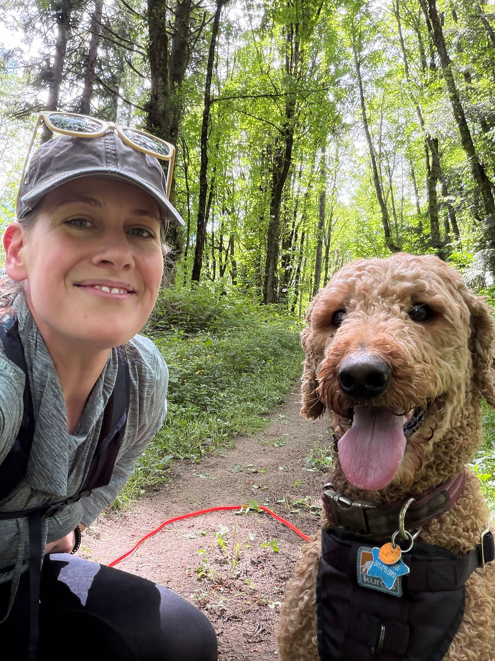A smiling person and a goldendoodle take a selfie while hiking on a sunny, wooded trail.
