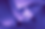 ZuSch_Treppe_lila_edited.png
