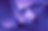 ZuSch_Treppe_lila_edited.png