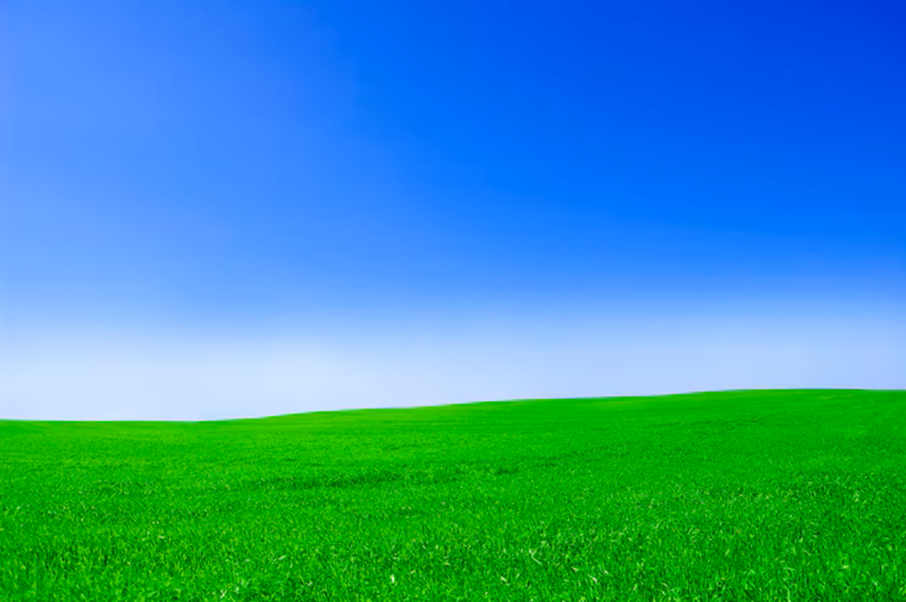 Field