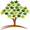 Mental Health Coalition of Verde Valley