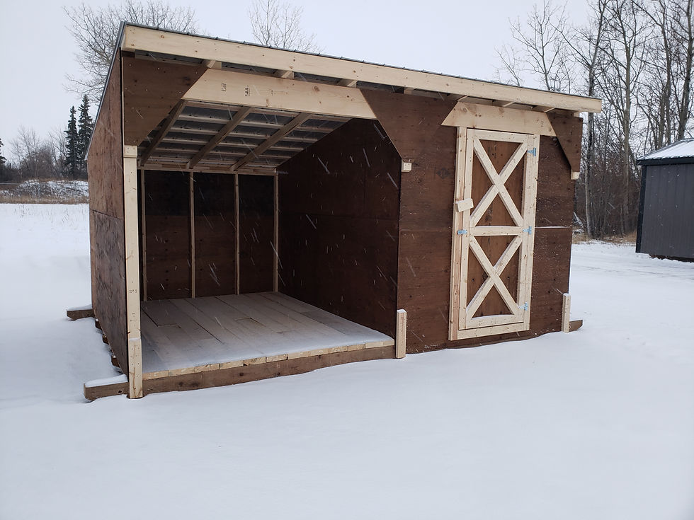 10'x16' Wood Storage building