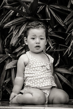 THE WESTING COSTA RICA PUGA229