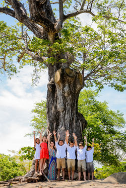 RIU COSTA RICA PUGA118