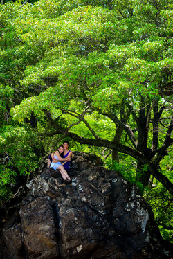 RIU COSTA RICA PUGA375