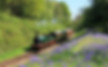 A Steam Train running on a the Bluebell railway track