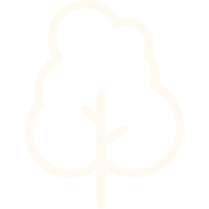 tree (2).png