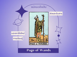 Page of Wands เด็กถือไม้เท้า
