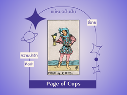 ความหมายไพ่ทาโรต์ Page of Cups เด็กถือถ้วย