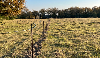 Fencing project by Straight and Narrow Fencing and Junk Removal located in Bryan, Texas