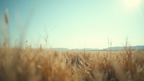 Przykładowy post: blablabla to jest tytuł