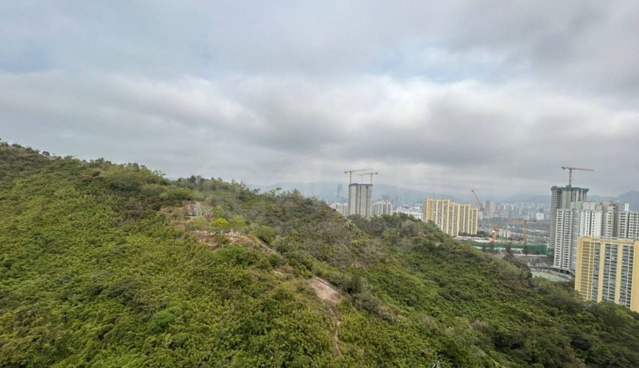 半新樓💢高層一房🌟開揚山景‼️