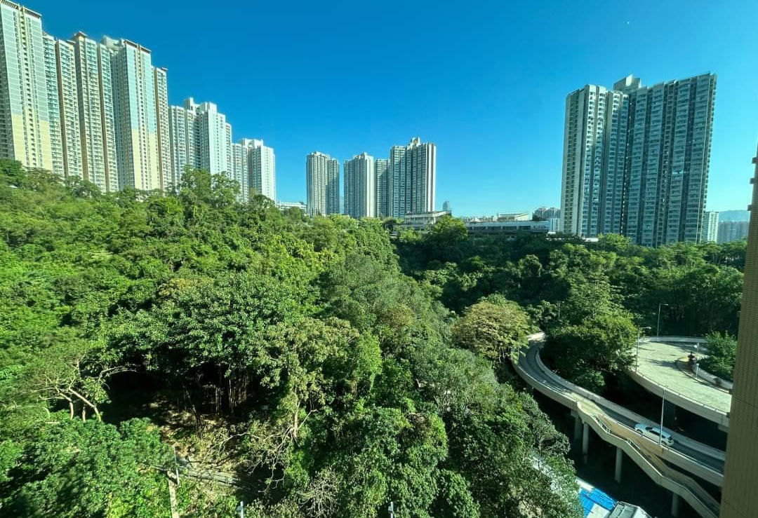 🌟換樓必看‼️企理三房🏞翠綠山景💥還價有驚喜‼️