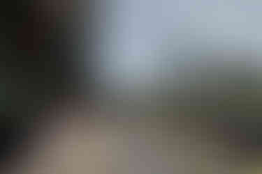 01-©FrancoCasaccia-5