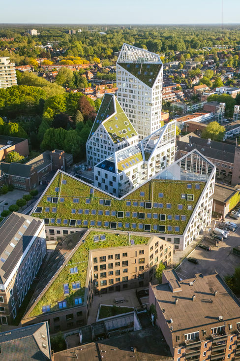 Nieuw Bergen 