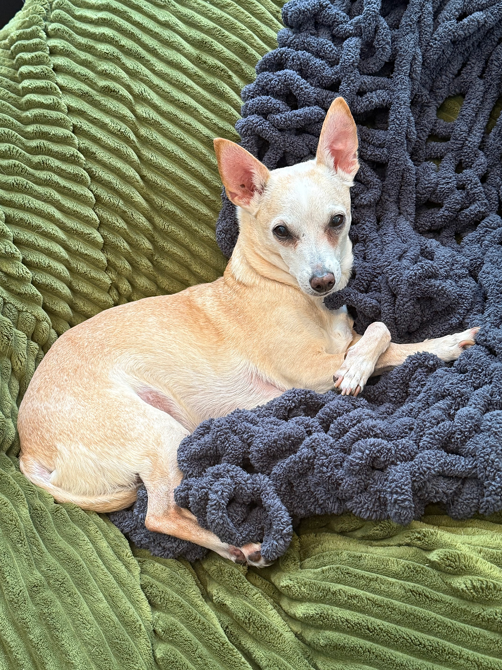 The sassiest of Lulus