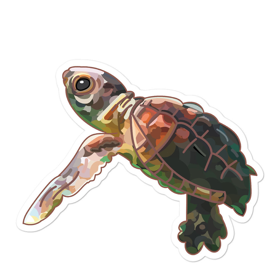 Thumbnail: Sea Turtle Stickers