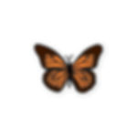 Monarch Butterfly Stickers