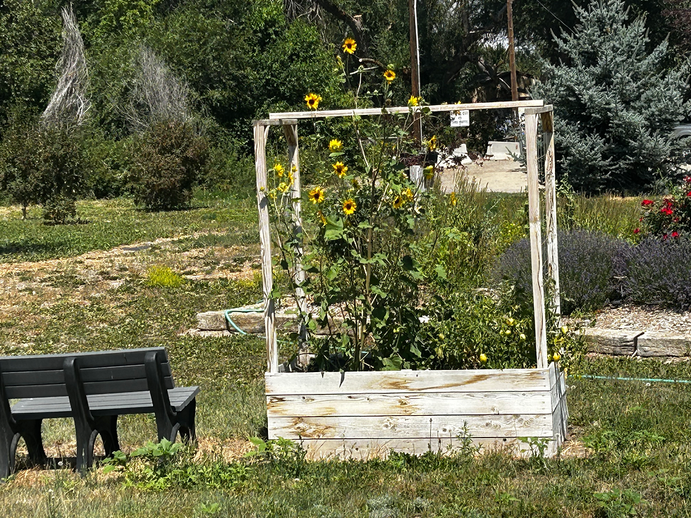 Shoshone, Idaho.