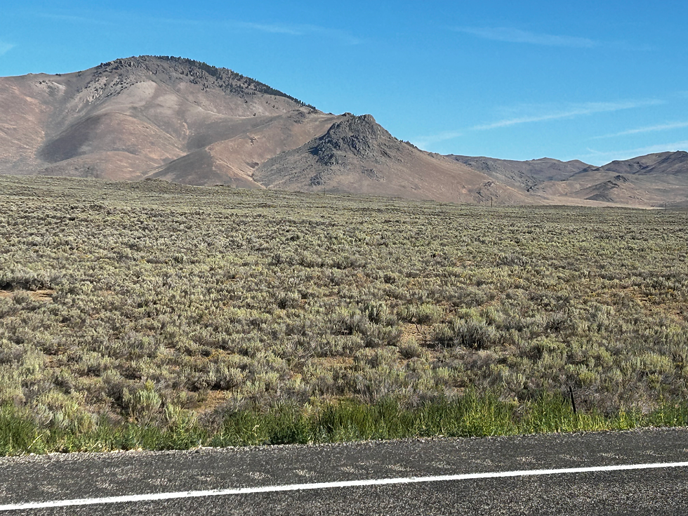 The tawny flanks of the Salmon River Mountains.