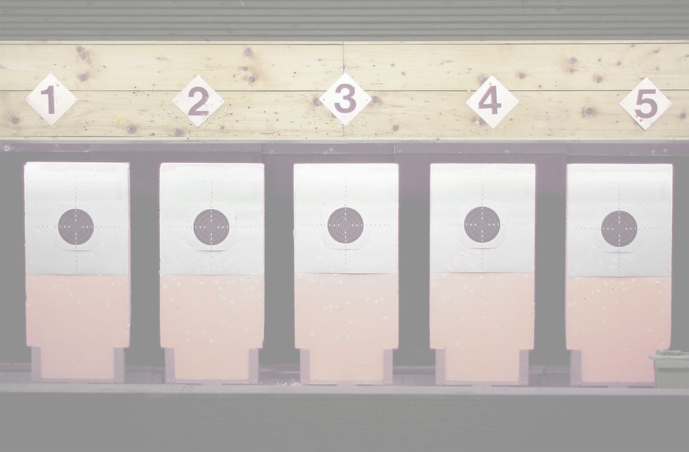 Shooting Targets_edited.jpg