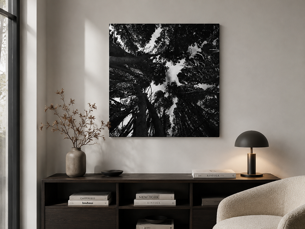 Thumbnail: No.209 - Canvas fine art print, 80cm x 80cm