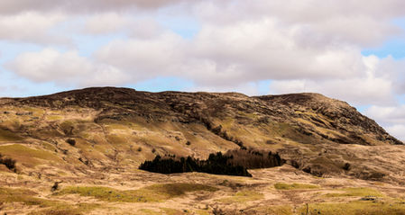 Rolling Highland hills with isolated forest under soft cloud cover