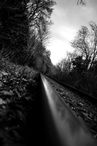 Low angle black and white west highland railway track cutting through woodland