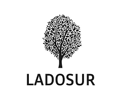 Logo_LADOSUR_color_transparente.png