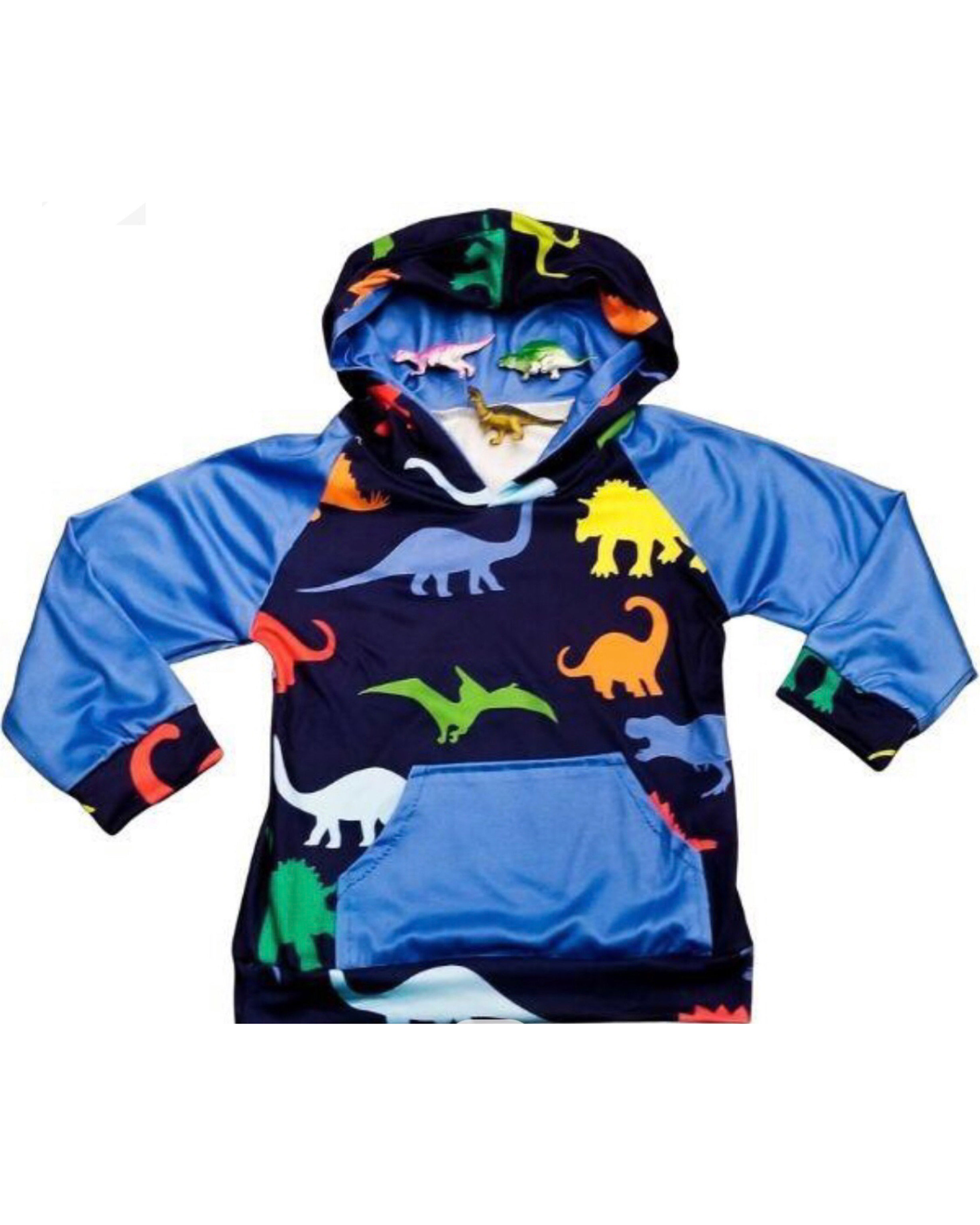 Multi Color Dinosaur Hoodie