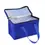 Miniature : Outdoor Thickened Insulated Lunch Handbags Large Capacity Camping Storage Bags W