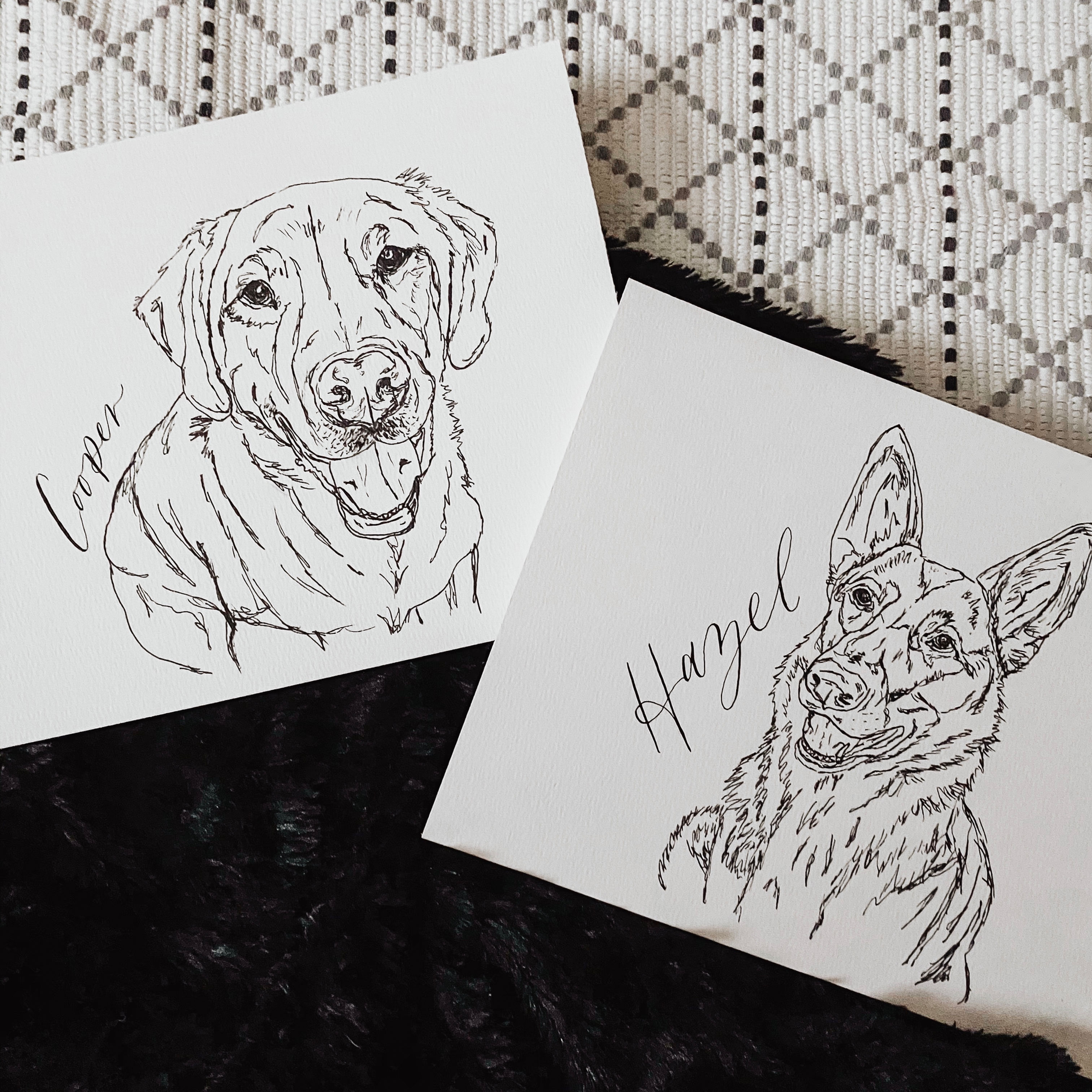 8x10 line drawing pet portrait