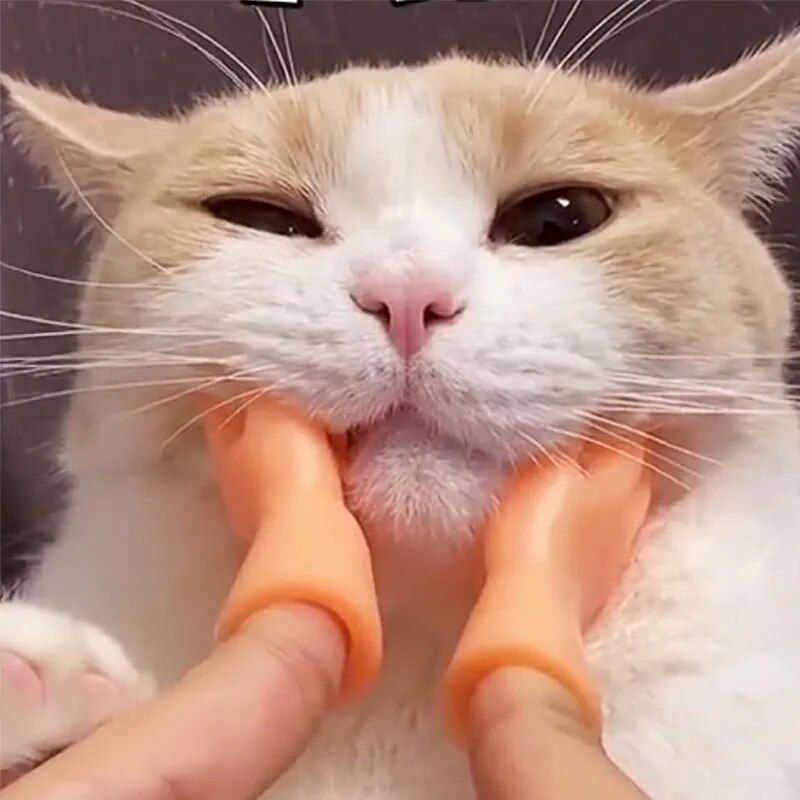 Thumbnail: The Hilarious Tiny Hands