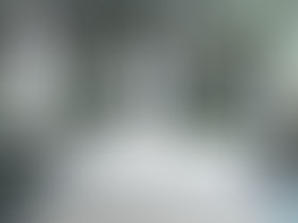 EFFECTIEF DEBITEURENBEHEER