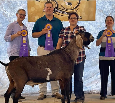 DKGH ROCK IT SCIENTIST (EclipseS).jpeg